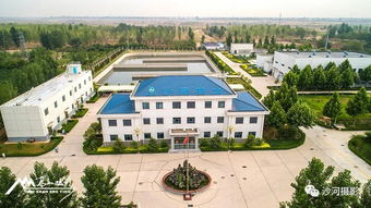 奋进中的河北沙河经济开发区 以绿为笔，绘就生态发展新画卷