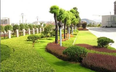 西安绿化工程 城市生态、园林景观与市政民生协同发展的新篇章