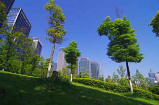福建园林绿化工程招标新规 景观工程迎来规范与绿色新篇章