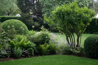 难得一见的园林绿化施工过程全记录 从荒地到园林的蜕变之旅