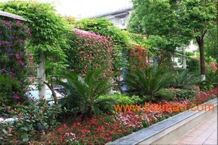 广东垂直绿化 种植、施工与景观工程的综合指南