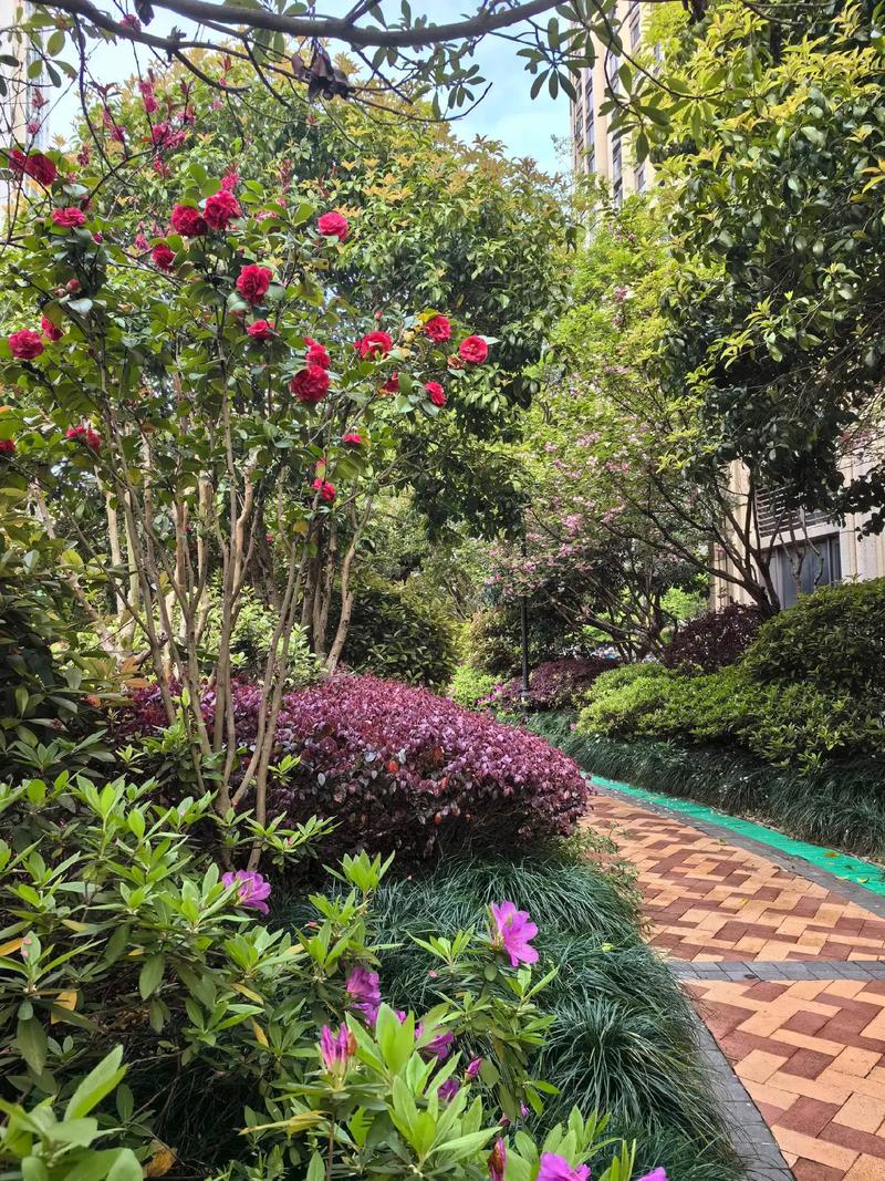 鸟语花香满园春，为小区绿化工程点赞